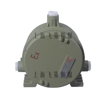 BHD（BAL）防爆镇流器箱